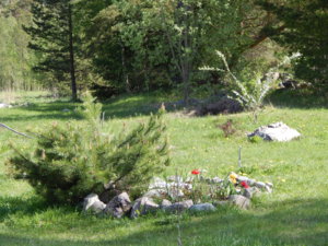 DSCN9990.JPG