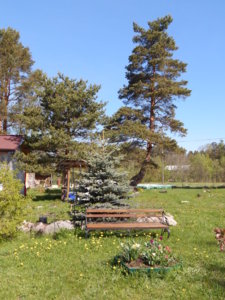 DSCN9992.JPG
