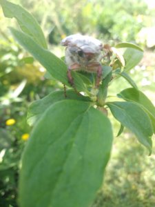 IMG_20190518_111842.jpg