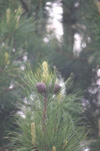IMG_7832.JPG