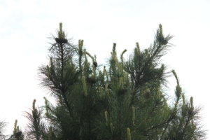 IMG_7834.JPG