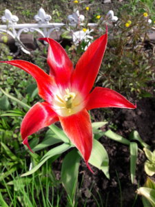 20190520_103500.jpg