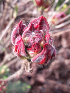 20190520_103745.jpg