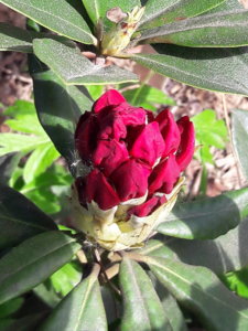 20190520_103633.jpg