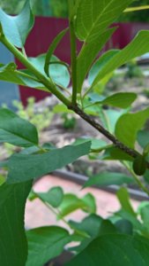 WP_20190522_13_29_49_Pro_LI.jpg