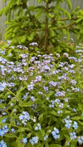 WP_20190522_13_38_05_Pro_LI.jpg