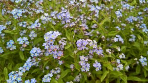 WP_20190522_13_38_47_Pro_LI.jpg