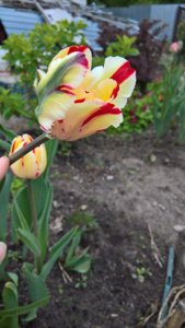 WP_20190522_13_31_44_Pro_LI.jpg