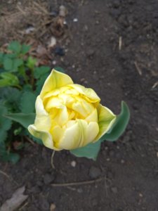 IMG_20190522_143319.jpg