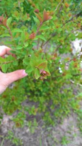 WP_20190522_13_40_56_Pro_LI.jpg