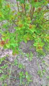 WP_20190522_13_41_14_Pro_LI.jpg