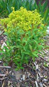 WP_20190522_13_43_28_Pro_LI.jpg