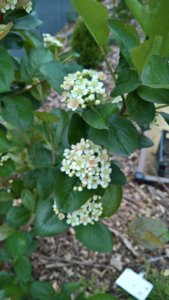 WP_20190522_13_36_11_Pro_LI.jpg