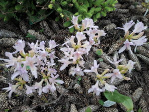20190523_101808.jpg