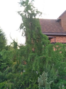 IMG_20190512_180237.jpg