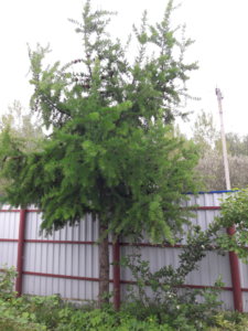 20190524_100751.jpg