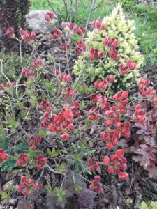 20190526_165141.jpg