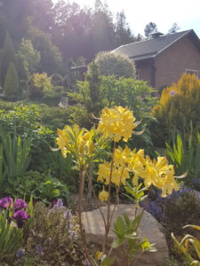 20190524_180519.jpg