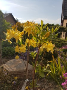 20190524_180628.jpg