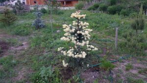 20190523_210245.jpg