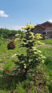 20190525_134327.jpg