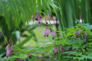 IMG_5688.JPG