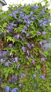 WP_20190527_11_59_17_Pro_LI.jpg