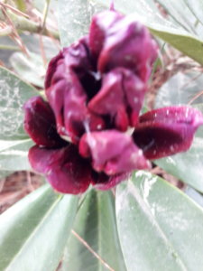 20190527_141118.jpg