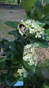 WP_20190528_08_30_18_Pro_LI.jpg