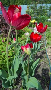 WP_20190528_08_32_36_Pro_LI.jpg