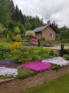 20190526_120007.jpg