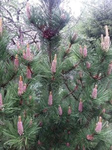 30BAFE4E-137E-4C05-8AA0-B072189AB676.jpeg