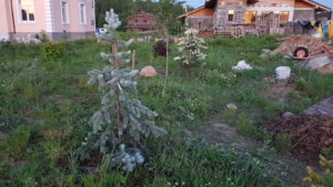 20190601_220228.jpg