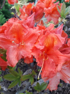 20190601_203847.jpg