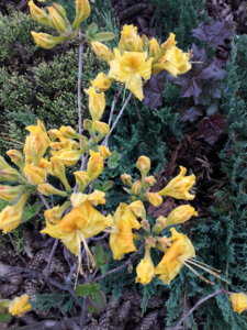 20190531_171602.jpg