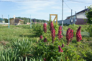 DSC03758.JPG