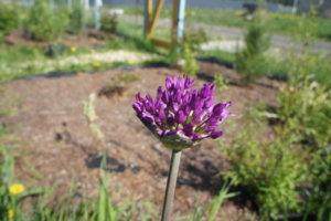 DSC03199.JPG