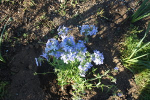 DSC03241.JPG