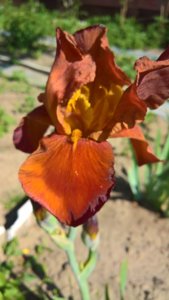 WP_20190607_08_56_27_Pro_LI.jpg
