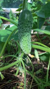 WP_20190607_08_59_34_Pro_LI.jpg