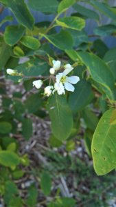WP_20190607_08_48_09_Pro_LI.jpg