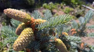 WP_20190607_08_47_31_Pro_LI.jpg