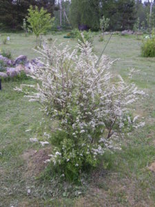 DSCN0077.JPG