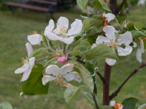 DSCN0012.JPG