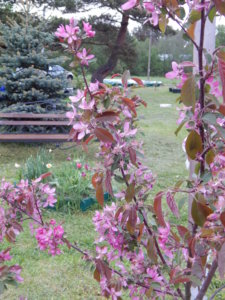 DSCN0091.JPG