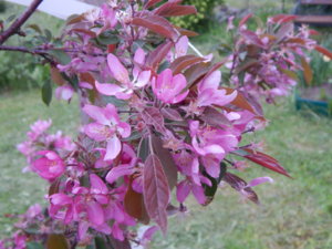 DSCN0092.JPG