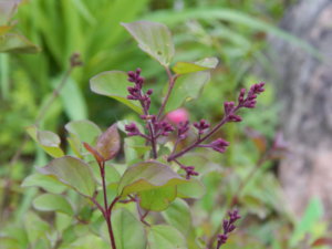 DSCN0120.JPG