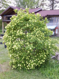 DSCN0023.JPG