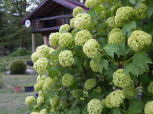 DSCN0024.JPG