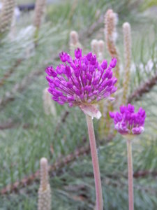 DSCN0015.JPG
